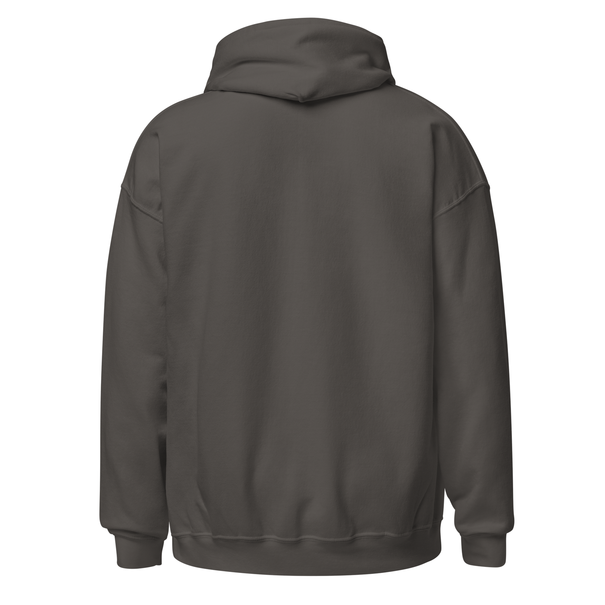 CDL driver wearing 18 wheels diesel graphic hoodie